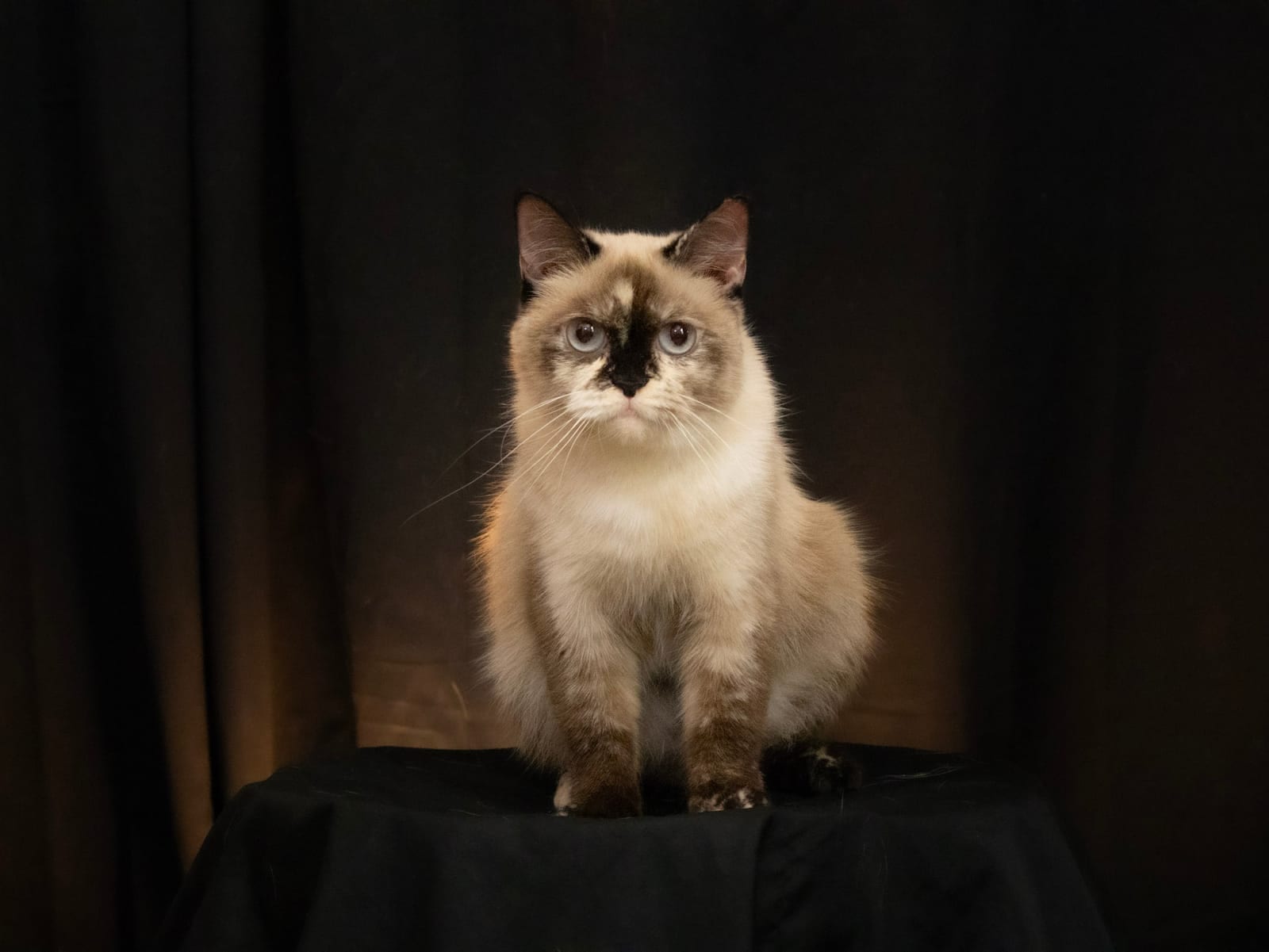 A relaxed studio moment at CATS
